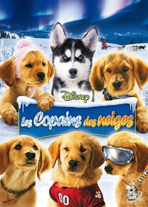 Affiche du film Les Copains des Neiges