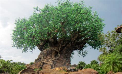 Arbre de la Vie à Animal Kingdom