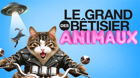 Bêtisier des animaux