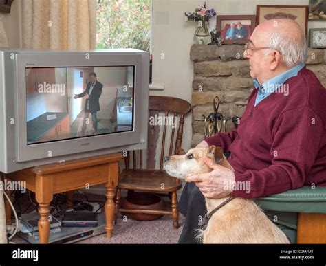 Chien regardant la télévision