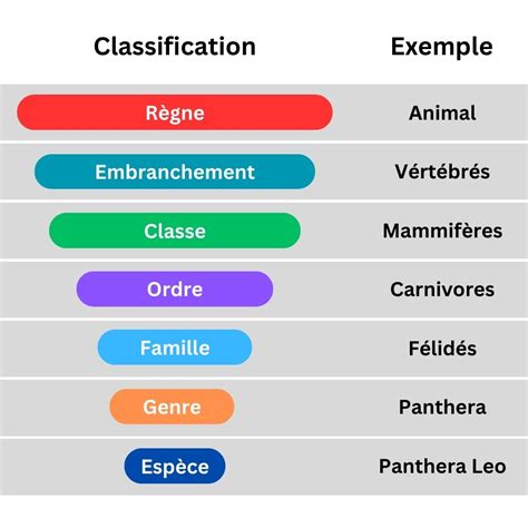 Classification d'âge sur Disney+