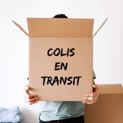 Colis TNT en transit