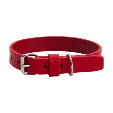 Collier pour Chien Marvel Rouge