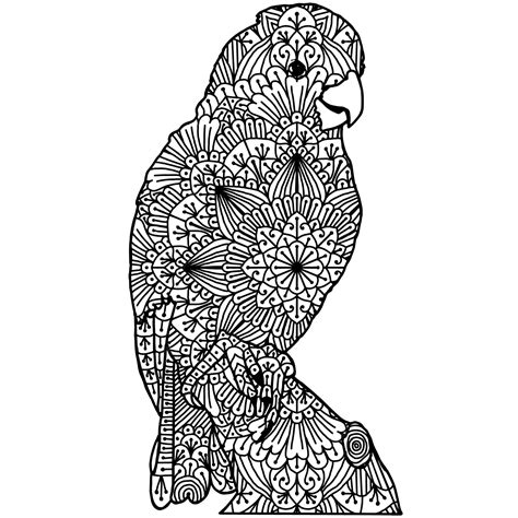 Coloriage pour adultes