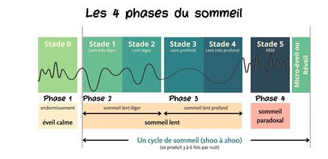 Cycle du sommeil