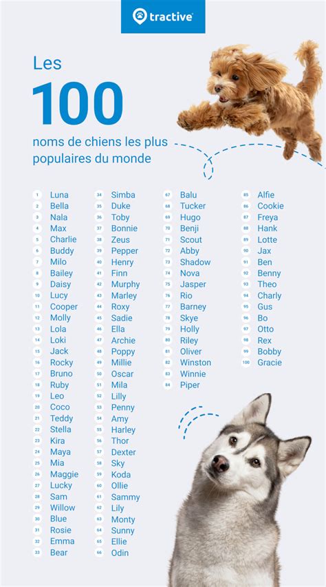 Différents noms de chiens