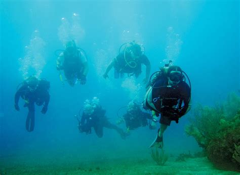 Divers