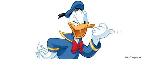 Donald Duck