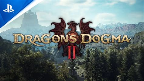 Dragon's Dogma Pions