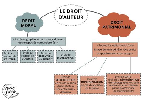 Droit d'auteur