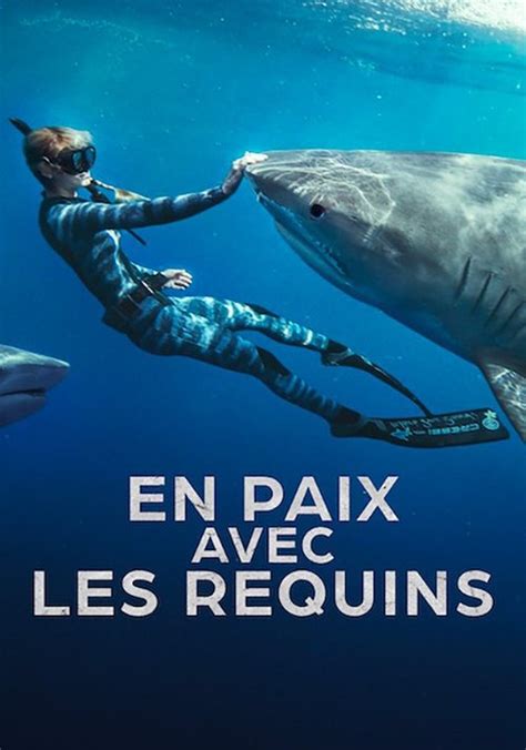 En paix avec les requins