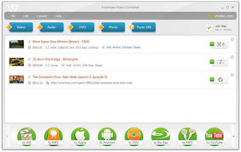 Freemake Video Converter Interface