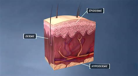 Image du téléfilm Sous la peau