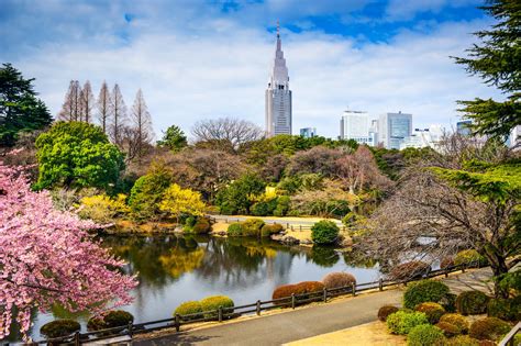 Jardin Shinjuku Gyoen à Tokyo