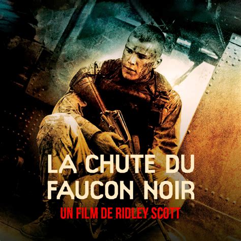 La chute du faucon noir