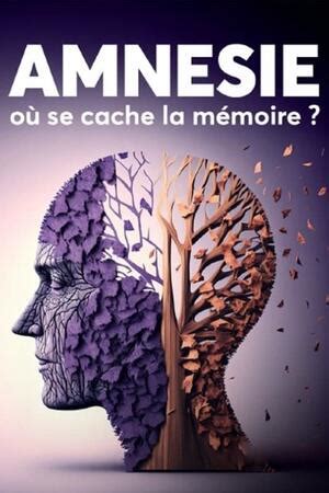 Mémoire cache TV