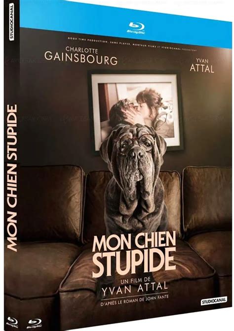 Mon Chien Stupide