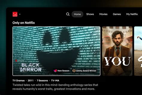 Netflix Interface