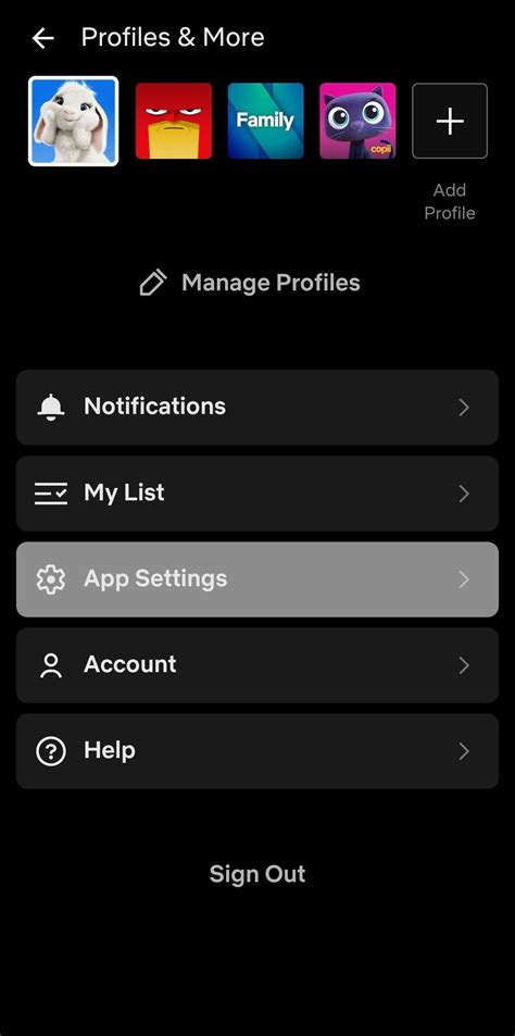 Netflix settings