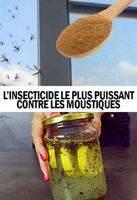 Prévention contre les mouches