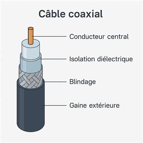 Schéma d'un câble coaxial