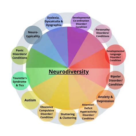 Schéma de la neurodiversité