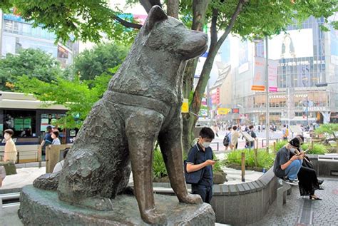 Statue d'Hachiko