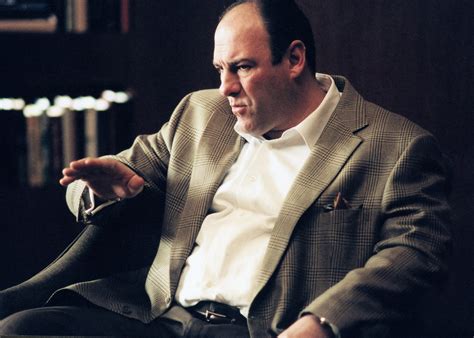 Tony Soprano en consultation