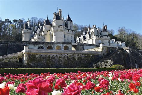 Vitraux du Château de la Belle au Bois Dormant